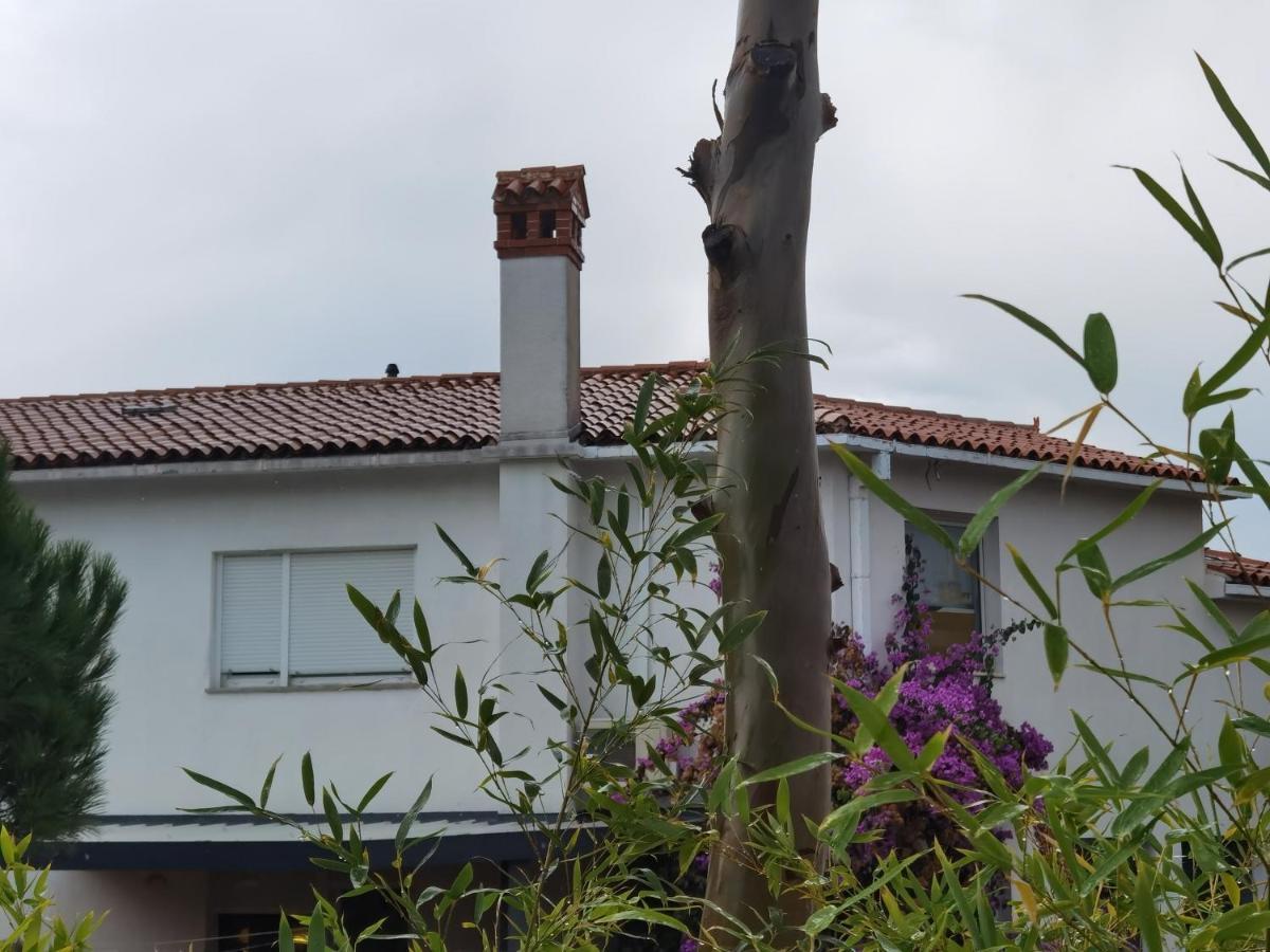 Pine And Lime Apartments Pula Exterior photo